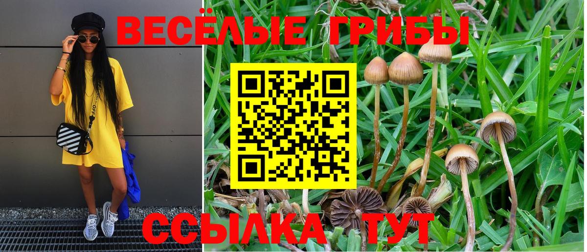 Галлюциногенные грибы Cubensis  Псилоцибиновые грибы мицелий  закладки  Борисоглебск  Вход с VPN 